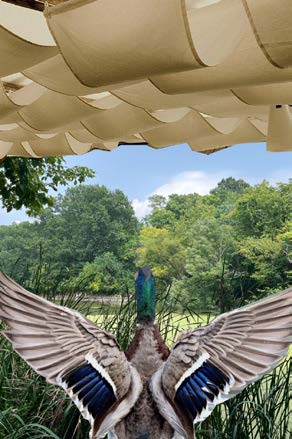 Pavilion — Studio — Water Folly